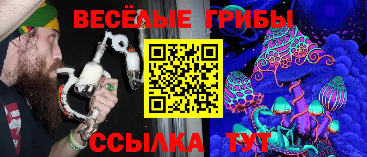 Псилоцибиновые грибы ЛСД Кандалакша