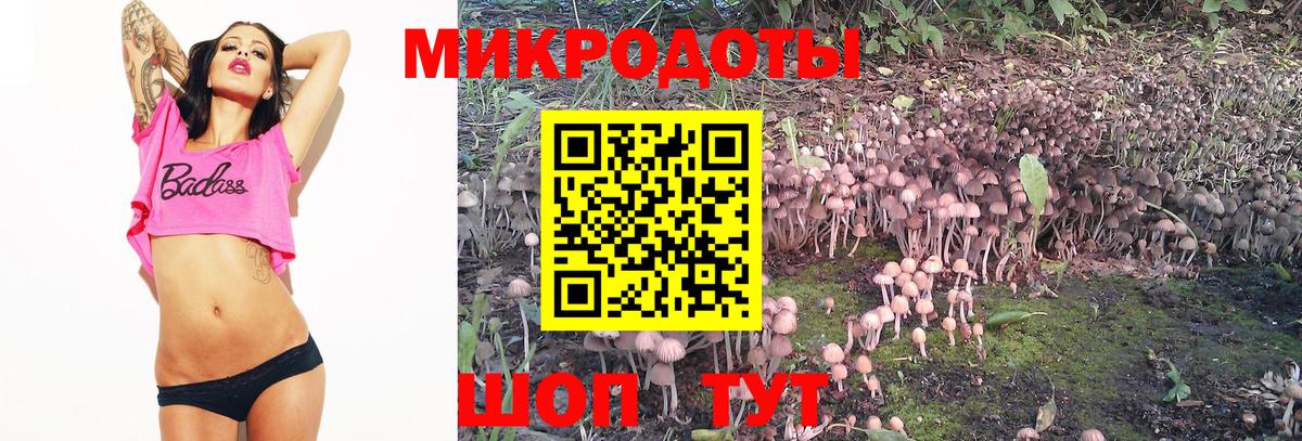 Галлюциногенные грибы Cubensis  Вход с VPN  Кандалакша 